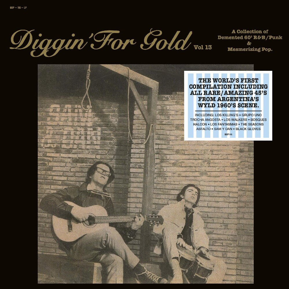 the album cover for Diggin' For Gold Vol. 13 / Various - Diggin' For Gold Vol. 13 / Various