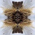 the album cover for Yakuza - Sutra
