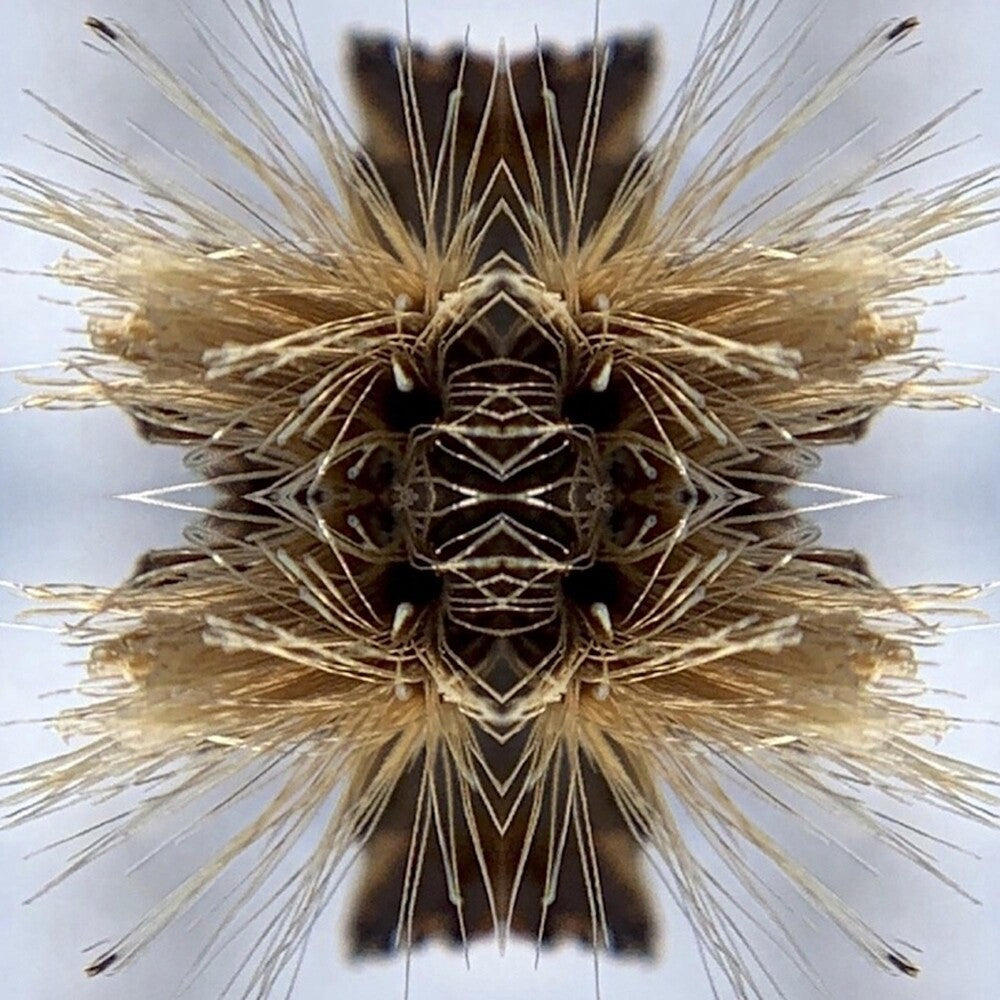 the album cover for Yakuza - Sutra