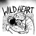 the album cover for Current Joys - Wild Heart [LP]