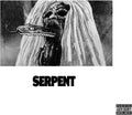 the album cover for Kool Keith & Real Bad Man - Serpent