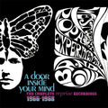 the album cover for West Coast Pop Art Experimental Band - Door Inside Your Mind: Complete Reprise Recordings