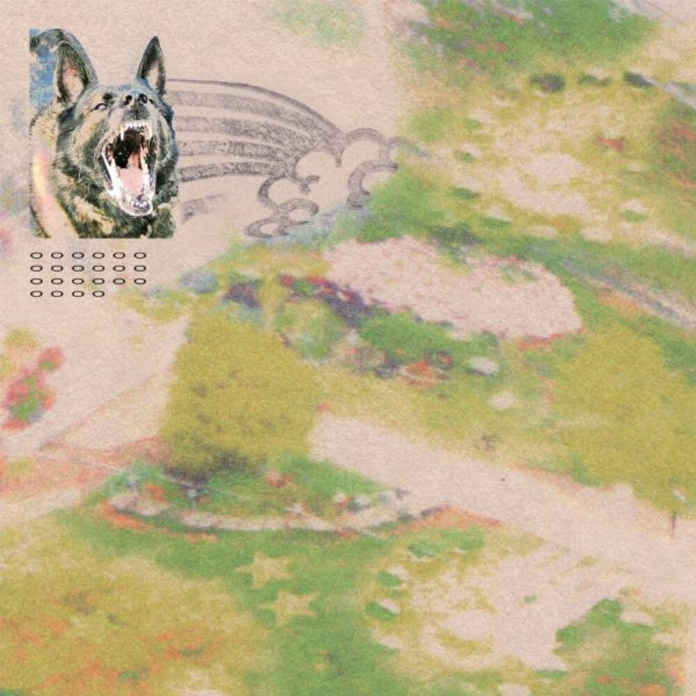 the album cover for feeble little horse - Girl with Fish [Indie Exclusive Limited Edition Grey Galaxy LP]