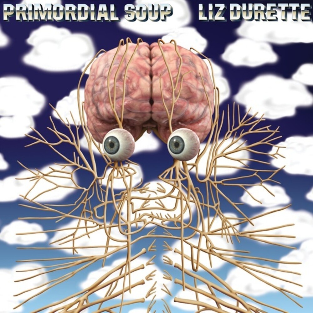 the album cover for Liz Durette - Primordial Soup