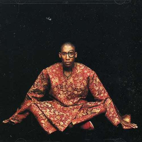 the album cover for Raphael Saadiq - Instant Vintage