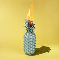 the album cover for Happy Fits - Under The Shade Of Green