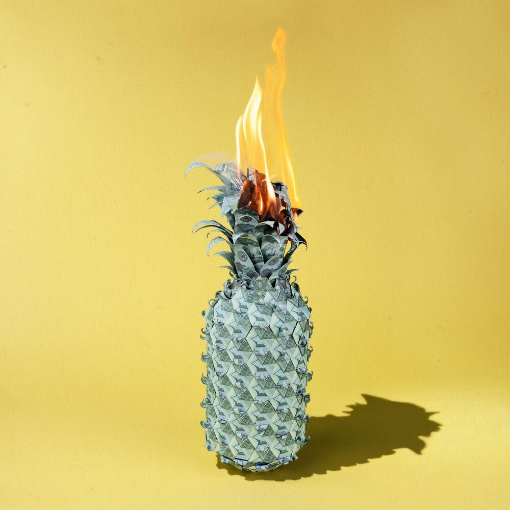 the album cover for Happy Fits - Under The Shade Of Green