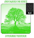 the album cover for Jan Dukes De Grey - Strange Terrain