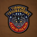 the album cover for Turnpike Troubadours - A Cat In The Rain