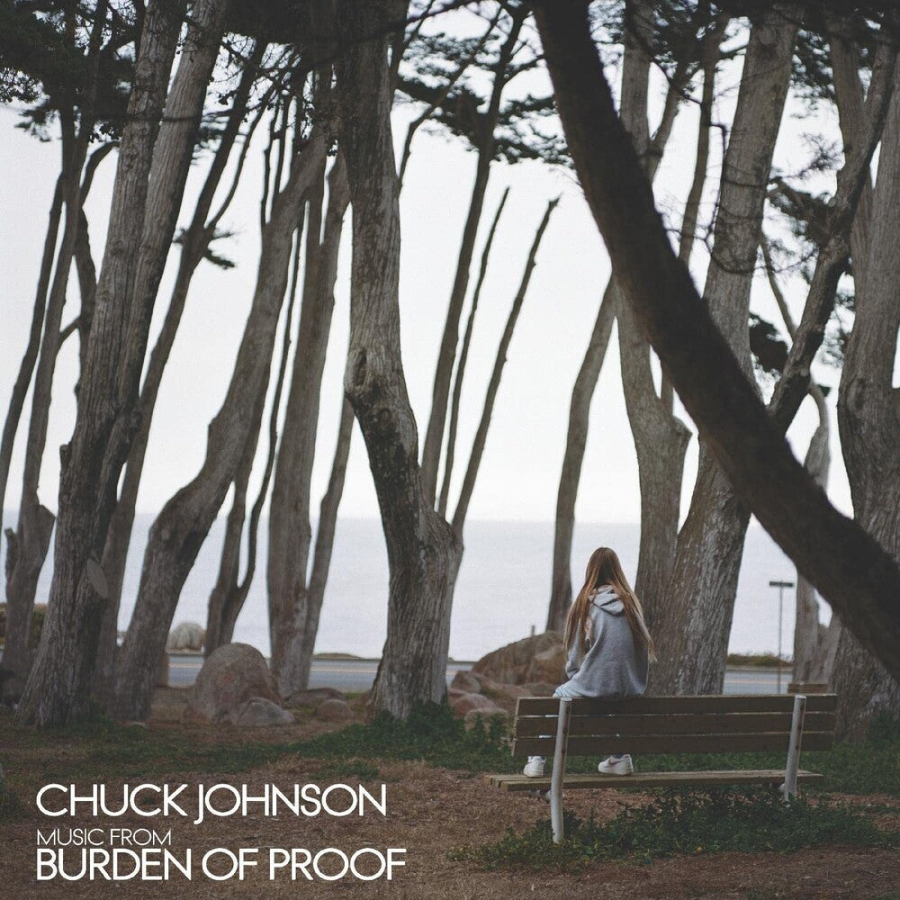 the album cover for Johnson, Chuck - Burden Of Proof
