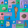 the album cover for Robin Saville - Lore