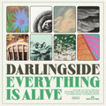 the album cover for Darlingside - Everything Is Alive