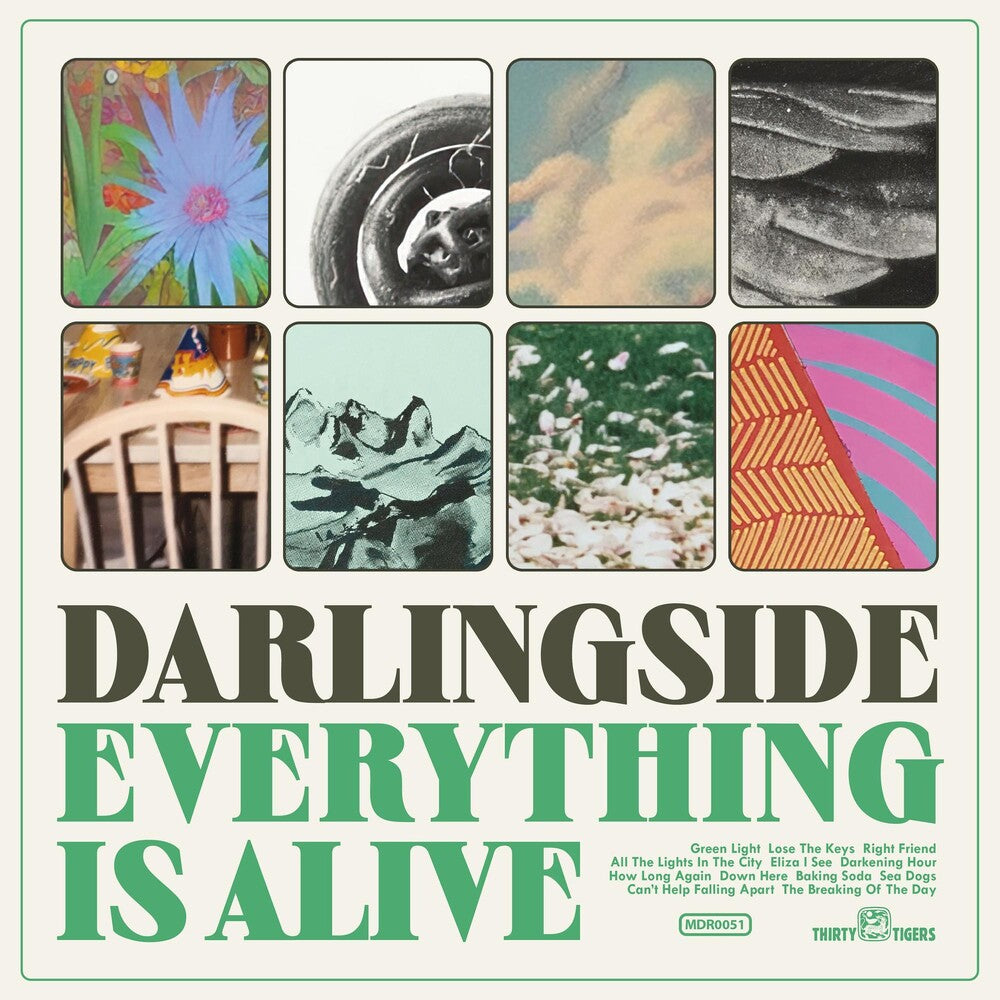 the album cover for Darlingside - Everything Is Alive