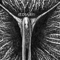 the album cover for Ildjarn - Ildjarn [Clear Vinyl] (Gate) [Limited Edition]