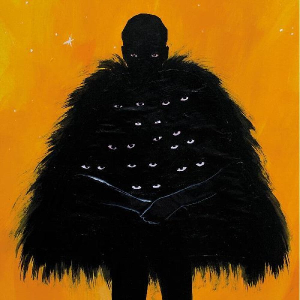 the album cover for Anjimile - The King