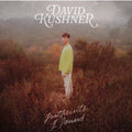 the album cover for David Kushner - Footprints I Found (Brwn) [Colored Vinyl] (Slv) (Ylw)