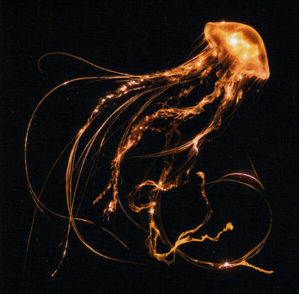 the album cover for Royal Blood - Back To The Water Below