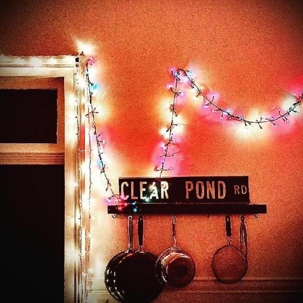 the album cover for Kristin Hersh - Clear Pond Road [Clear LP]