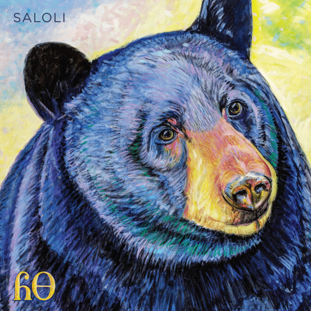 the album cover for Saloli - Canyon