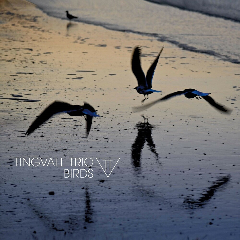 the album cover for Tingvall Trio - Birds [180 Gram]