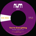 the album cover for Michael Dixon  A. & J.O.Y. - You're Everything B/W You're All I Need [Colored Vinyl]