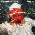 the album cover for Pale Jay - Bewilderment