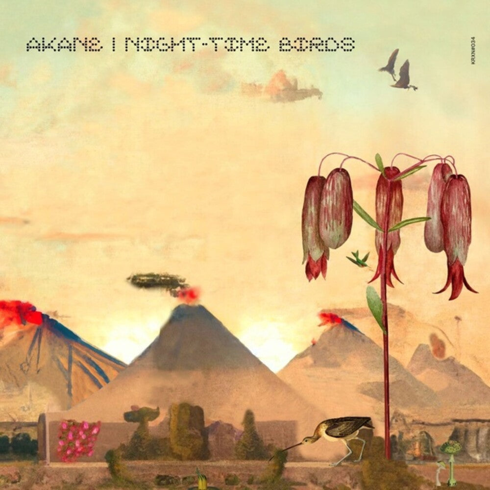 the album cover for Akane - Night-Time Birds