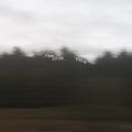 the album cover for Film School - Field [Forest Green LP]