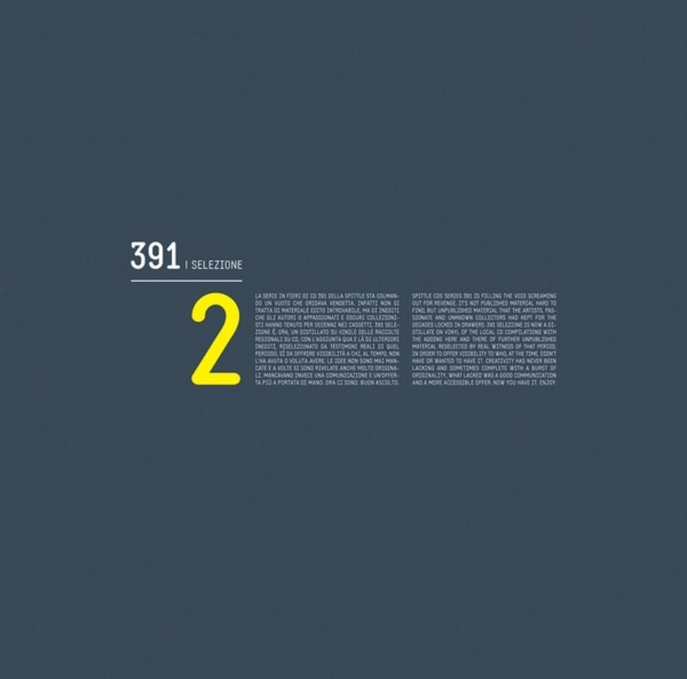 the album cover for 391 Selezione 2 / Various - 391 Selezione 2 / Various