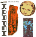 the album cover for Cautious Clay - Karpeh