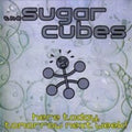 the album cover for Sugarcubes - Here Today Tomorrow Next Week [Reissue] (Uk)