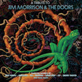 the album cover for Tribute To Jim Morrison & The Doors / Various - Tribute To Jim Morrison & The Doors / Various
