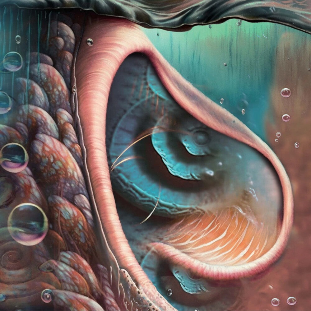 the album cover for Tribute To Pink Floyd / Various - Tribute To Pink Floyd / Various