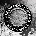 the album cover for Rudimentary Peni - Neu Smell
