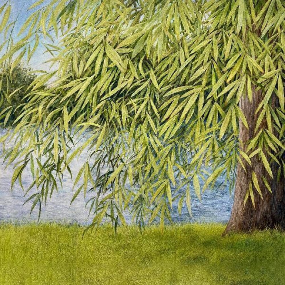 the album cover for Martin Simpson  / Jutz,Thomm - Nothing But Green Willow : The Songs Of Mary Sands