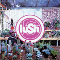 the album cover for Lush - Lovelife [Indie Exclusive Limited Edition Clear LP]