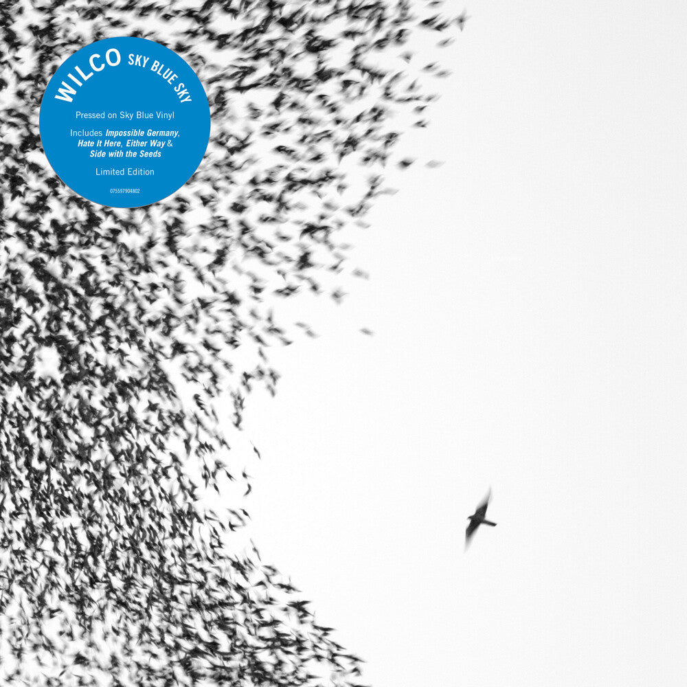 the album cover for Wilco - Sky Blue Sky
