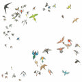 the album cover for Modern Nature - No Fixed Point In Space