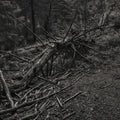 the album cover for Sult - Always I Gnaw