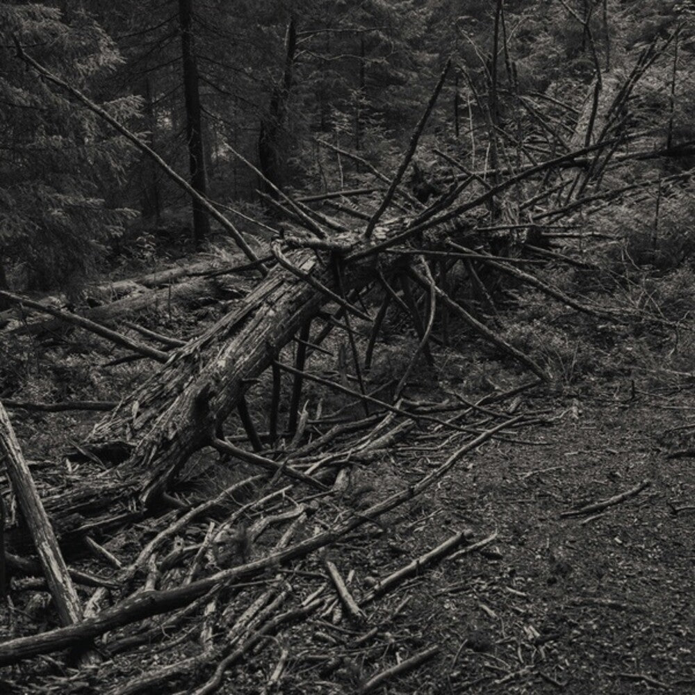 the album cover for Sult - Always I Gnaw