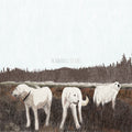 the album cover for Foxing - Albatross: Ten Years (Brwn) [Colored Vinyl]
