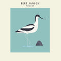 the album cover for Bert Jansch - Avocet [Limited Edition] [Remastered]
