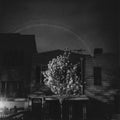 the album cover for Open City - Hands In The Honey Jar [Colored Vinyl] (Cyn) (Wht)