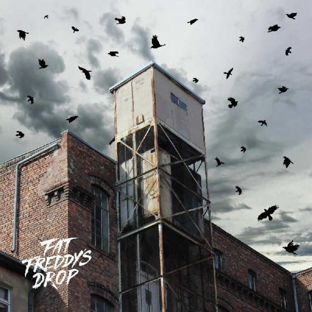 the album cover for Fat Freddy's Drop - Blackbird Returns (Uk)