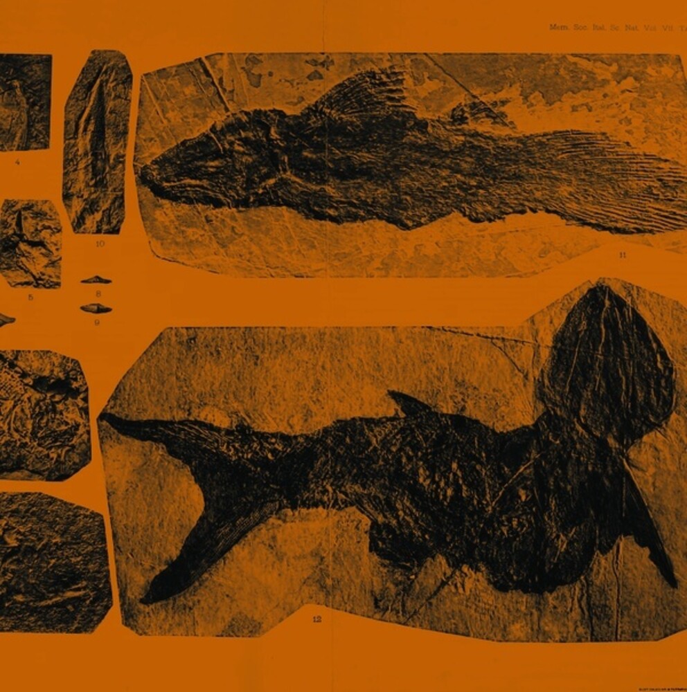 the album cover for Annelies Monsere - Mares