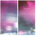 the album cover for Vladislav Delay - Multila (2023 Repress)