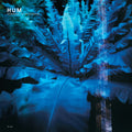 the album cover for Hum - Downward Is Heavenward [Reissue]