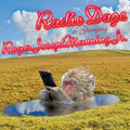 the album cover for Roger Joseph Manning Jr. - Radio Daze / Glamping [LP]