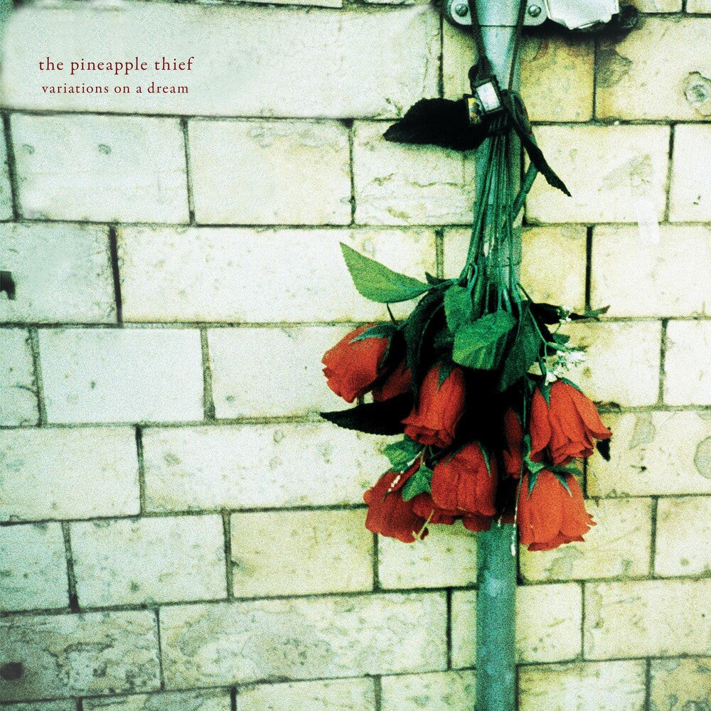 the album cover for The Pineapple Thief - Variations On A Dream