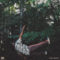 the album cover for Chester Watson - Fish Don't Climb Trees [Colored Vinyl] (Crem) [Indie Exclusive]